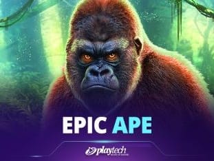 Epic Ape thumbnail
