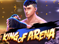 King Of Arena game thumbnail
