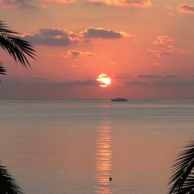 Tito Karnavian avatar